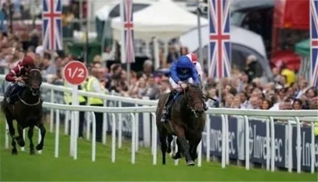 英国、爱尔兰赛马6月回归,欧洲赛马新冠疫情爆发后全面重启 大陆赛马网.jpg