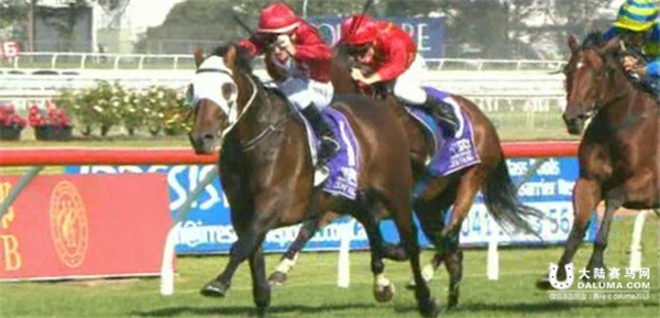 蒙骏安志强旗下“黄金雄心”玫瑰岗坚尼赛获第6 大捷龙夺冠