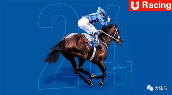 没有悬念!世界第一赛马女王“云丝仙子”迎来24连胜 大陆马 大陆赛马网 (1).jpg