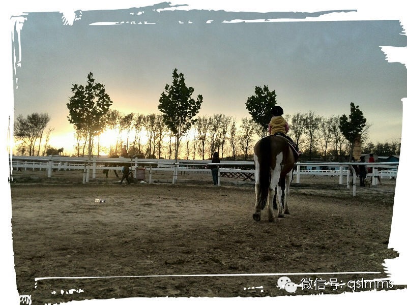 中联骑士联盟《我与马儿亲密接触》摄影大赛第四期投票 大陆赛马网6.jpeg