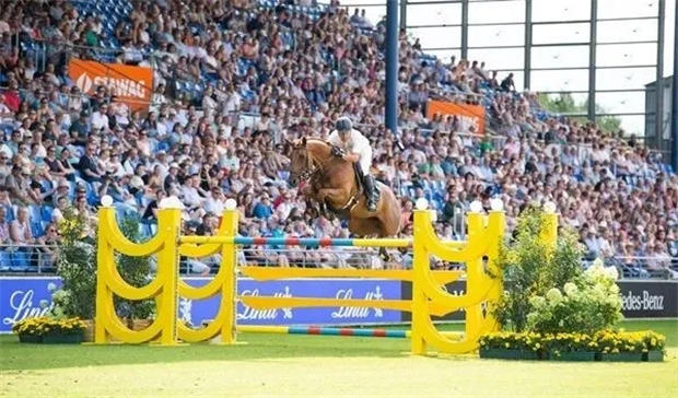 德国马术场地障碍传奇鲁德格·比尔鲍姆:我的成就并不是靠天赋 青马网大陆马.jpg