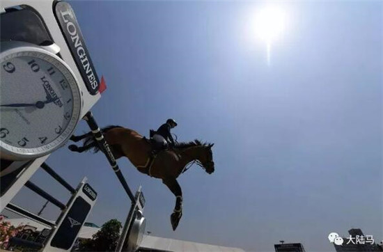 花三个亿为女儿养马,原来有钱人家这么养娃 大陆马 大陆赛马网 (23).jpg
