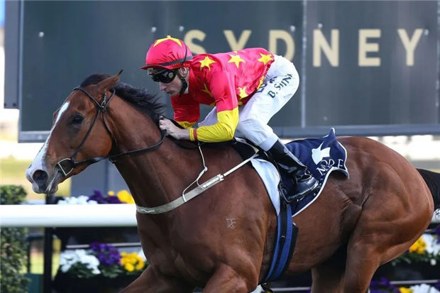 “云丝仙子”连胜之前,连续5次都没赢她!CHC赛马皇后“第一封印”! 大陆赛马网 (5).jpg