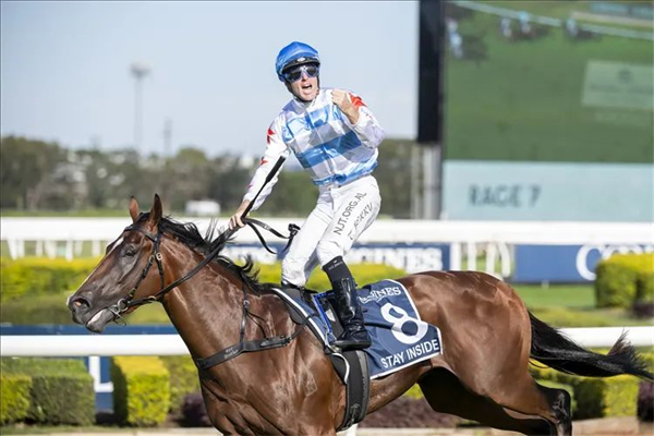 CHC杰士马主俱乐部金拖鞋大赛冠军赛马退役配种:37万配种费 大陆马.jpg