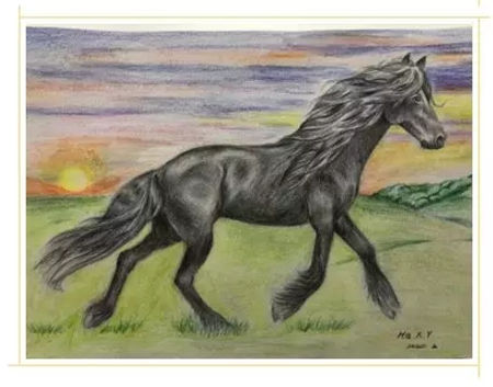 CKUR中联骑士联盟马术教练张雷鸣分享:疫情下留守马场至今的教练们,说好的交接班呢? 青马网大陆马 (7).jpg