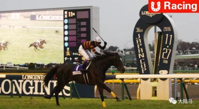 日本最高荣誉赛马盛事“日本杯”周日开战:4匹外国赛驹挑战日本赛驹霸主地位 大陆赛马网.jpg