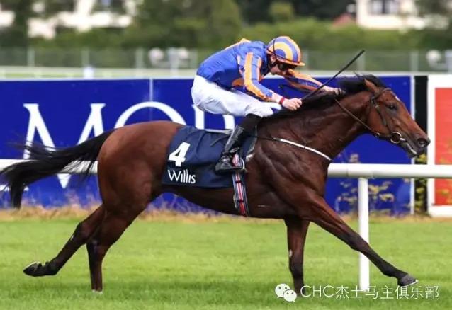 “荷兰画家”(Johannes Vermeer).jpg