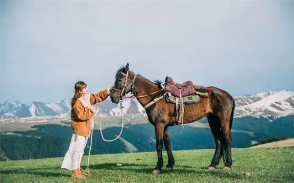 新疆马产业将“跑出”200亿!大陆马 (3).jpg