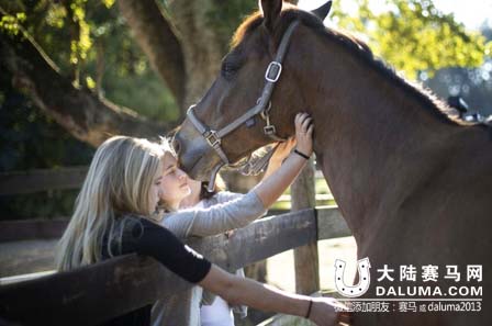 美国18匹马意外中毒将亡 骑手为其梳洗装扮告别 大陆赛马网.jpg