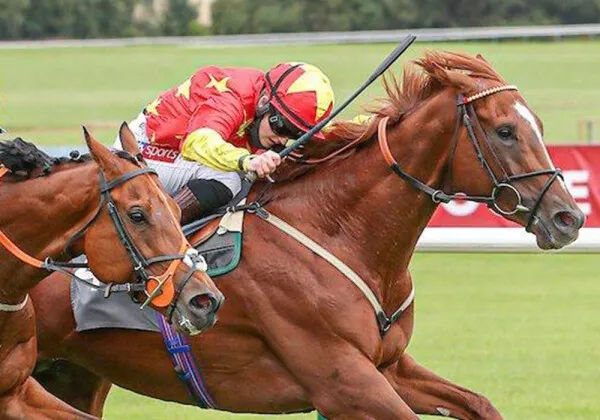 女骑师杜苑欣策骑CHC杰士马主俱乐部“哈里森论”英国夺冠 大陆赛马网 (2).jpg