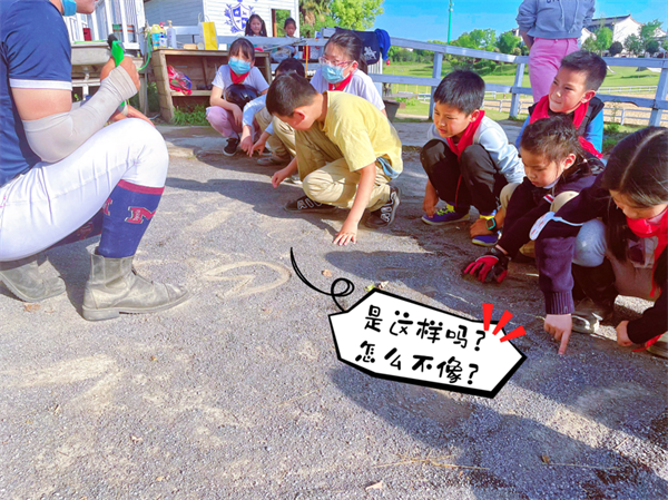 青马·校园马术社团 和大陆马一起骑马踏春!不负春光,不负童年! 大陆马 (1).png