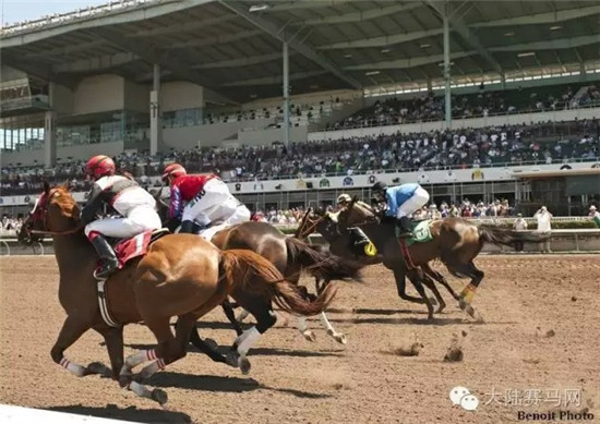 一周全球赛马新闻精选NO.2:中国俱乐部海外狂揽5冠,美总统选举频提赛马 大陆赛马网7.jpg