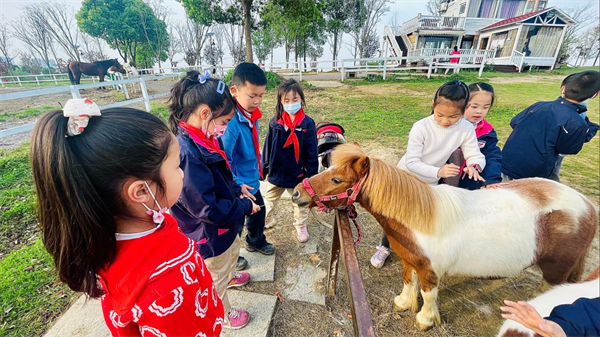 青马·校园马术社团 大陆马陪伴小小骑士一路成长! 大陆马 (2).png
