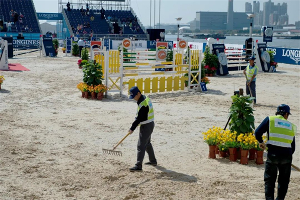 北京威斯恩国际马术设备有限公司:中国马术设备领军企业! 大陆马 (20).jpg