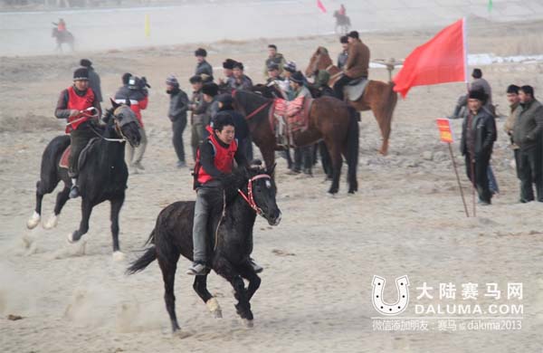 新疆沙雅:赛马运动展英姿 大陆赛马网.jpg