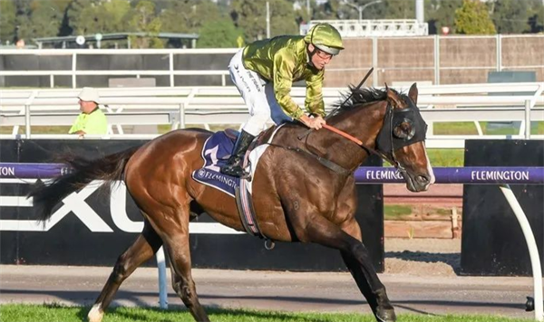 “天飞龙”收获第104匹锦标赛冠军子嗣 大陆马.png