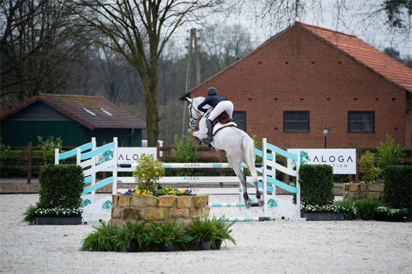 全球顶级马术赛马拍卖会即将开幕!冠军骑手为你选马! 大陆马 (9).png