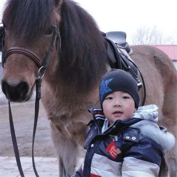 章子怡带着4岁女儿去上马术课啦!为啥明星们都送孩子去骑马? 青马网大陆马 (14).jpg