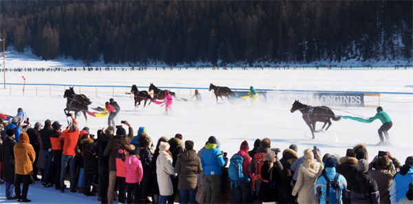 当“冰雪”遇到“赛马”:瑞士圣莫里兹雪地赛马节最负盛名 大陆马 (2).png