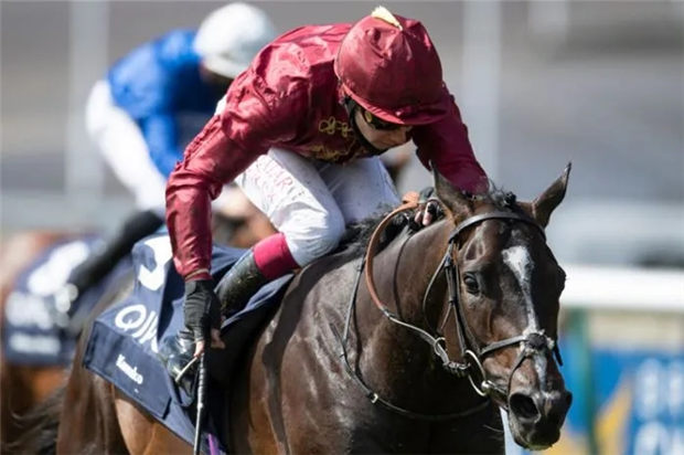 “佳明骥”大跃进勇冠英国二千坚尼 “吕宋火山”惨遭滑铁卢 大陆赛马网.jpg