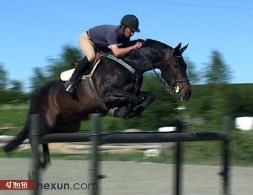 著名马术教练和骑手张维先生