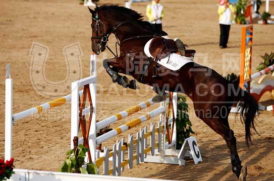 全运会马术三项赛照片获18届“金镜头”体育类银奖