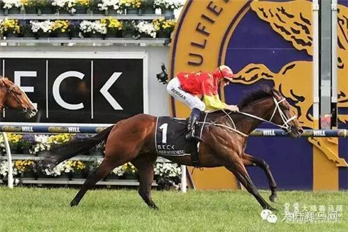 金拖鞋迎“中国日”:莱德杰士蒙骏5匹赛驹征战3场国际一级赛 3.jpg