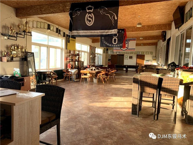 2019年全国青少年马术“造星梦工厂”——沈阳东骏马术夏令营开营啦! 青马网大陆马 (10).jpg