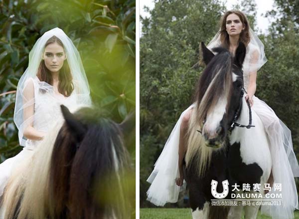 吉普赛马:神遗忘在人间的优雅骑兽 大陆赛马网2.jpg
