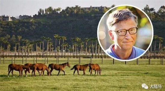 花三个亿为女儿养马,原来有钱人家这么养娃 大陆马 大陆赛马网 (5).jpg