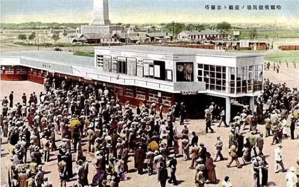 哈尔滨体育局局长:我们要“种草”马术和赛马,这是哈尔滨四大“潮”! 青马网大陆马 (4).jpg