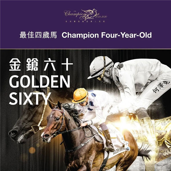 “金枪六十”当选香港赛马会新设最佳四岁马及最受欢迎马匹 大陆赛马网 (1).jpg