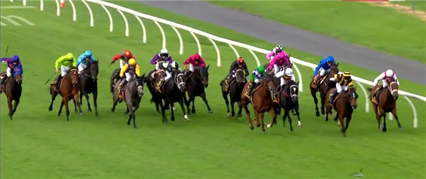 华宇马业三岁雌马“疾行如飞”首战一级赛:16匹参赛马跑获第五表现不俗 大陆赛马网 (1).jpg