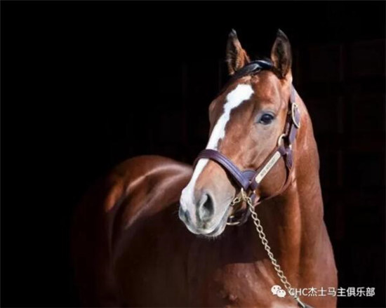 CHC杰士马主俱乐部两岁公马“聆听”美国压倒性优势夺冠3.jpg