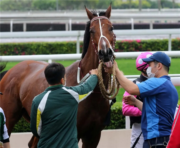 你的小目标实现了么?一匹马率先赚到一个亿! 大陆赛马网 (2).jpg