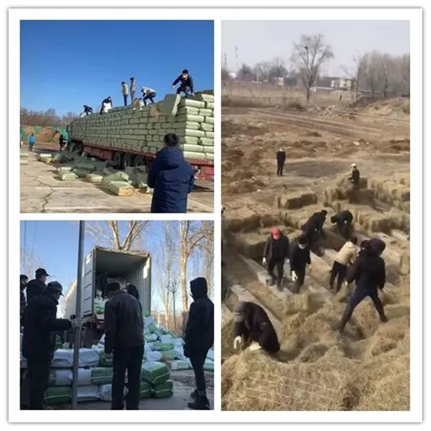 CKUR中联骑士联盟马术教练张雷鸣分享:疫情下留守马场至今的教练们,说好的交接班呢? 青马网大陆马 (3).jpg