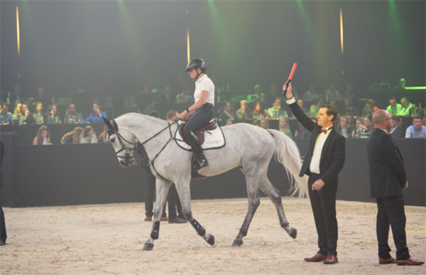 19匹马超2300万成交额!全球顶级温血马拍卖会完美收官! 大陆马 (16).png