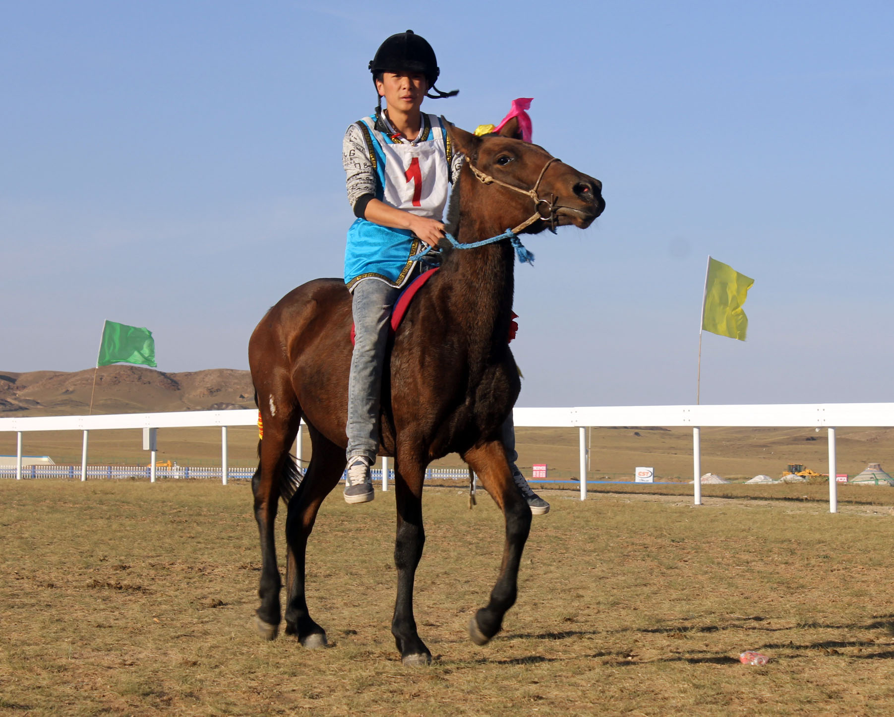 额阿迪亚首届中国游牧文化旅游节3200m蒙古二岁马封冠