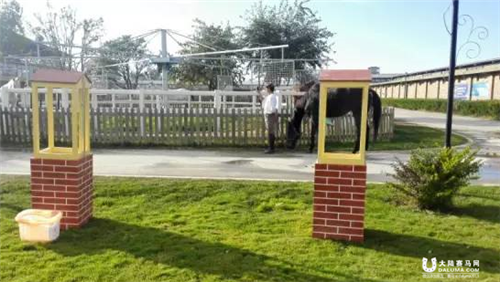 嘉丽泽马术11月29日 小马趣味赛3.png