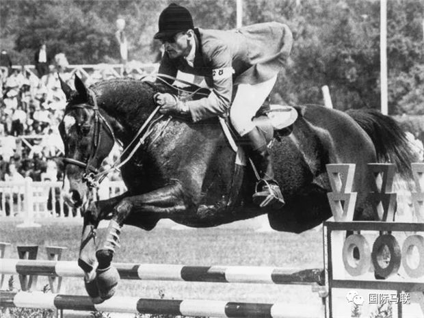 1968年墨西哥城奥运会马术比赛:苏联骑手忘记路线痛失金牌 青马网大陆马 (4).jpg