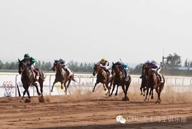 驭马奔腾 助力体育强国民族梦——CECF鄂尔多斯驭马文化节圆满收官 6.jpg