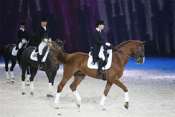 00后女骑手登全运会马术舞台,助家乡陕西实现零突破 大陆马 (1).jpg