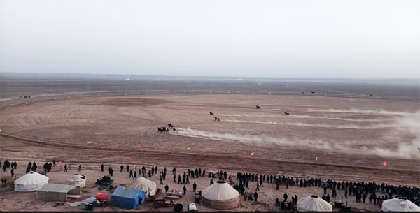 新疆马产业将“跑出”200亿!大陆马 (1).png