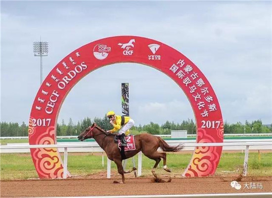 驭者∙无界:2017CECF内蒙古鄂尔多斯国际驭马文化圆满落幕10.jpg