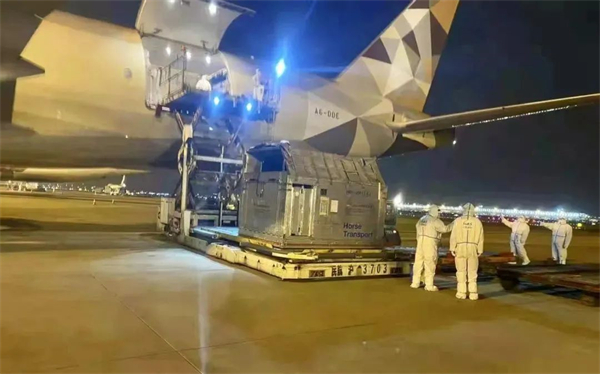 疫情后中国首架运马包机!玉龙马业75匹进口纯血马从爱尔兰顺利抵沪! (2).jpg