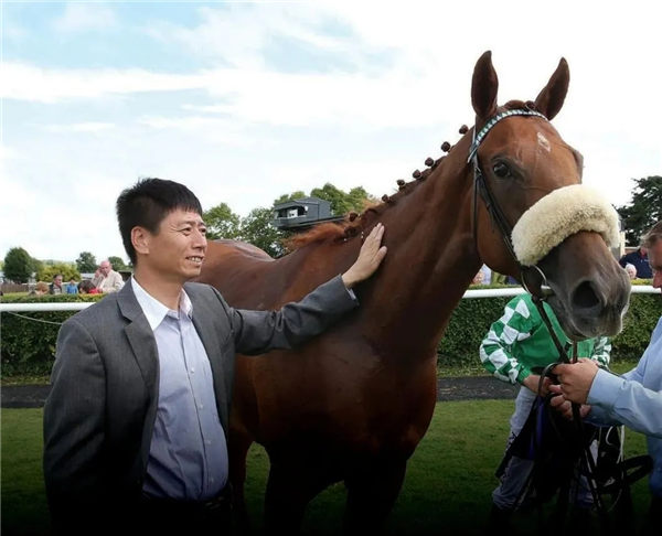 玉龙马业喜迎首个一级赛冠军!2岁公马“玉龙幸运维加”勇夺爱尔兰凤凰锦标 大陆赛马网 (5).jpg