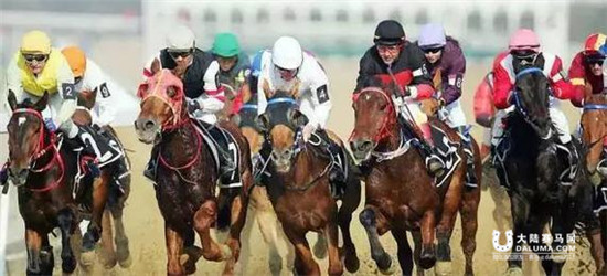 国内速度赛马 大陆赛马网.jpg