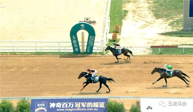 华宇马业明星赛马“万事俱备”:80万奖金中国马主联盟蓝钻锦标冠军 大陆赛马网 (4).jpg