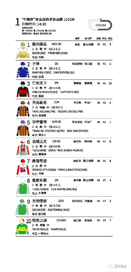 玉龙马业,国产马赛事,玉龙公开赛,赛马,马术,玉龙赛马 (8).jpg