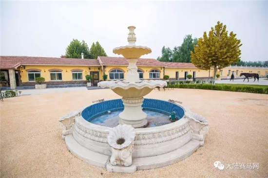 合作国际学校开办马术课程:CKUR中联骑士联盟再推新举措.webp (8).jpg